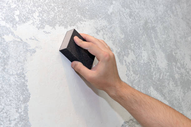 Best Airborne Mold Testing  in Campti, LA