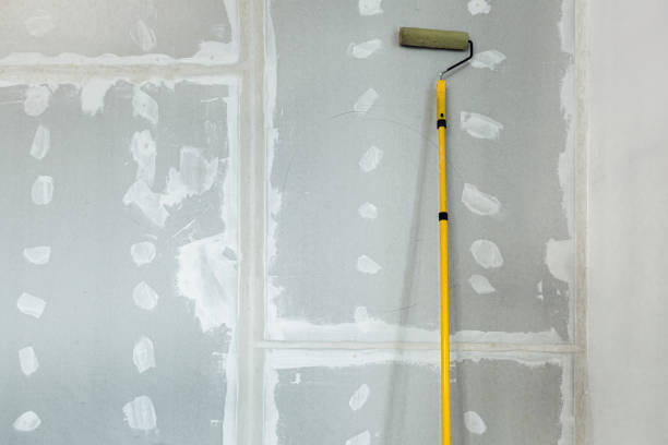 Trusted Campti, LA Mold Removal Experts